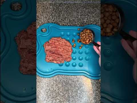 #ziwipeak #farminapetfood #darwinspetfood