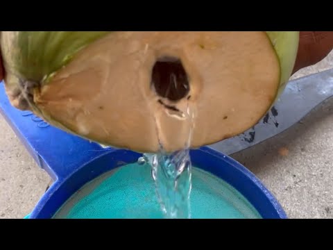 Agua de Coco Natural