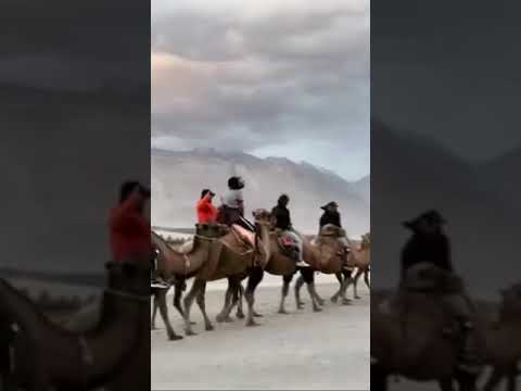 Camels Ride | Moutains | Warangal Vlogs