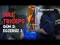 Komple Örnek Antrenman Programı | Seviye A1 | Sirt / Triceps Günü | Hareket 3 - Seated Cable Row