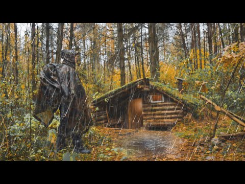 Дожди Заливают Землянку. Спрятался от непогоды в Доме под землей.  Мыши Захватили Землянку