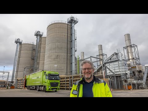 Wood pellets are on the rise: This is how the CO2-neutral fuel is produced in Upper Palatinate