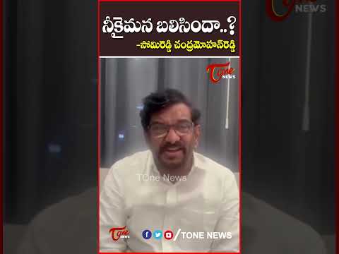 నీకైమన బలిసిందా..?#somireddychandramohanreddy #komminenisrinivasarao #tdp #tonenews #apnews