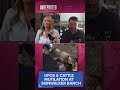 UFOs and cattle mutilation at Skinwalker Ranch
