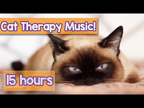 Relaxing Cat Music for Anxious Cats! Calm Your Cat with this Natural Anxiety Remedy for Cats! 🐈 💤