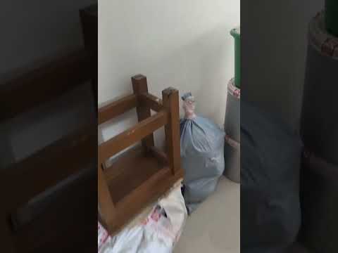 Packers and Movers Video 1