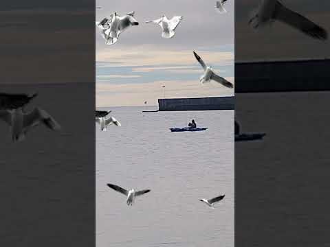 Pescando en Comodoro Rivadavia chubut