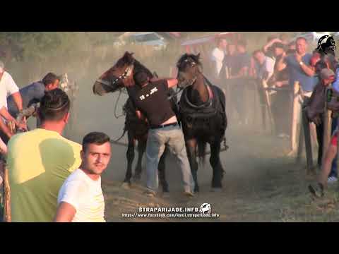 Danijel Topalović sa dva Rubina treći u Srednjoj (01,59)  Nova Bila 2022