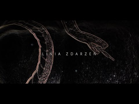 Marczak  "Linia zdarzeń"