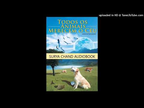 Todos os Animais Merecem o Céu 2/4