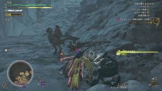 【MHWilds】グラシスメタル、グラシスメタル、グラシスメタル