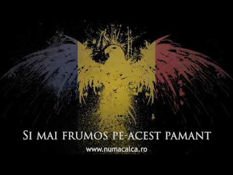 N-auzi Române Cum Plânge Natia Ta