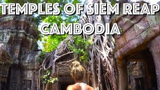 Temple Tour in Siem Reap