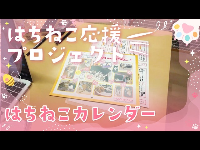 限定公開版　はちねこカレンダー