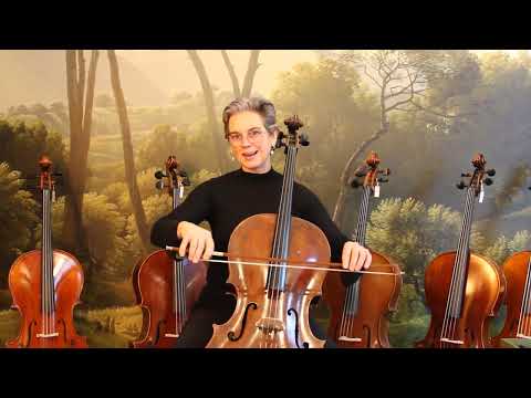Cello celloles, cello leren spelen: portato /  Louré. Cellodocent Scarlett Arts
