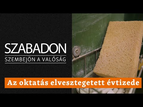 Szabadon - Az oktatás elvesztegetett évtizede