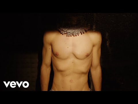 Tripolare - il mio cane