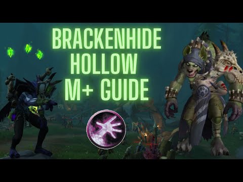Brackenhide Hollow M+ Guide | Warlock Tips and Tricks