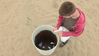 Rhythm and Soul - Spoon