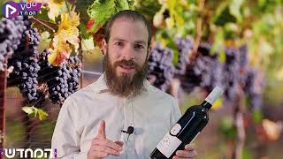 בית היין - העונה החדשה | אבריימי בורשטיין, יינן יקב יפו בהמלצה חמה לשבת ופורים