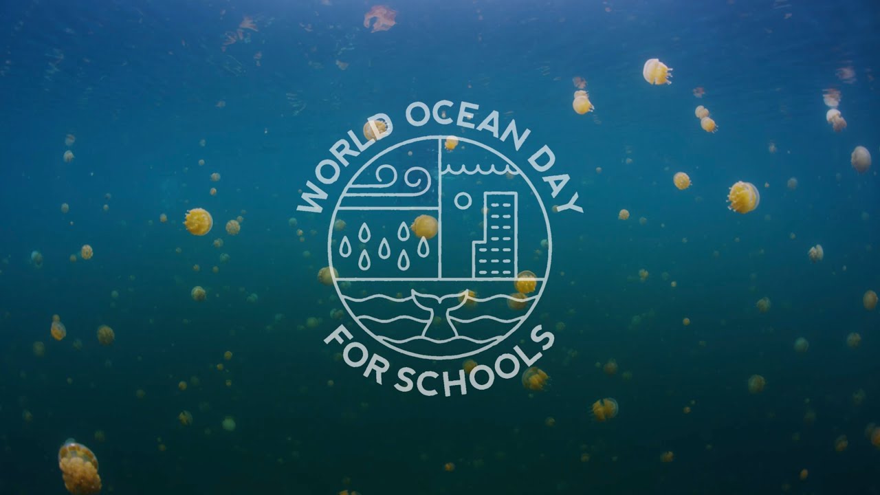 Celebrate World Ocean Day for Schools with Sara Campbell
