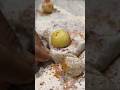 Chethabadi Chesthuna Uru Poradu Chethabadi Village Comedy Comedyvideo Comedy Village