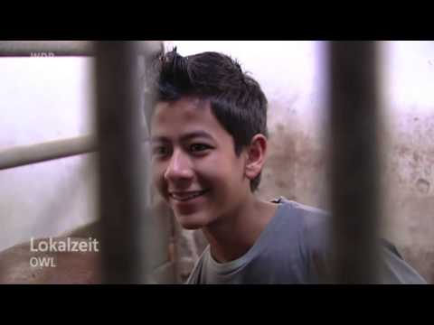 Ferien auf dem Birkenhof -- Folge 2