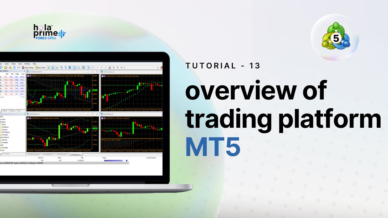 MetaTrader 5 (MT5) – Plattformübersicht | Ein einfacher Leitfaden