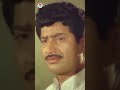 Muddayi Movie Songs Devaalayaanni Vidanaade Song Krishna K J Yesudas YTShorts Telugu Hits