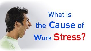 Causes of Work Stress