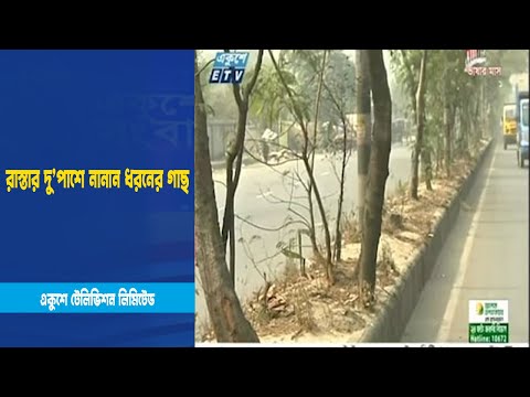 খিলগাঁওয়ে রাস্তার দু’পাশে লাগানো হয়েছে নানান ধরনের গাছ