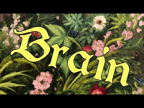Video thumbnail for brain
