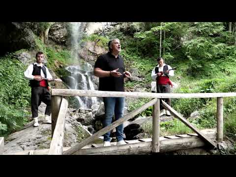 Zdravko Čurić - Vidak