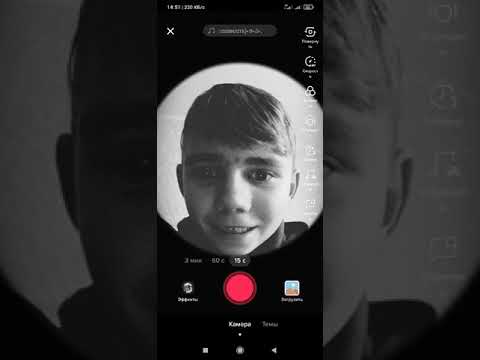 DARDONE- classic phonke