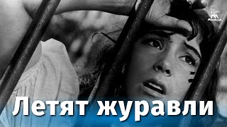 Смотреть онлайн Художественный фильм «Летят журавли», 1957