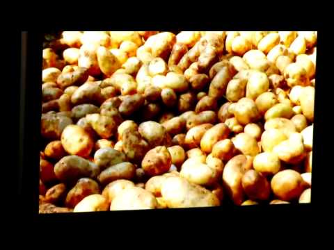 The 14th Annual Thornton-Massa Lecture Series