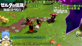 【ゼルダの伝説 知恵のかりもの】 チルノの知恵のかりもの part24 フィローネ湿原に現れた裂け目2 フィローネ湿原の無の世界 他【ゆっくり実況】
