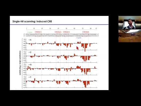 MIT CompBio Lecture 24 - Genome Engineering