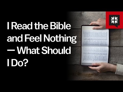 I Read the Bible and Feel Nothing — What Should I Do?