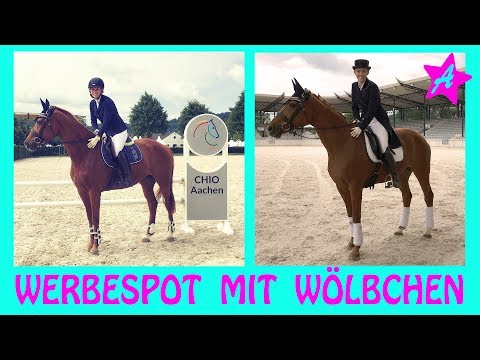 WÖLBCHEN beim BOXENSTOPP I lustige Pferde Challenge I CHIO Aachen 2017