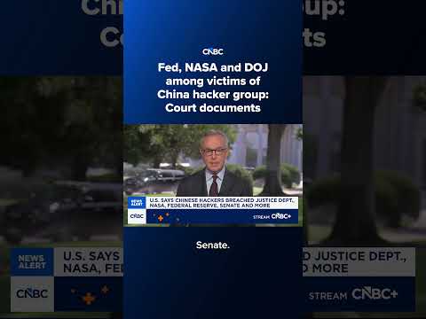 Fed, Nasa and DOJ among victims of China hacker group: Court documents