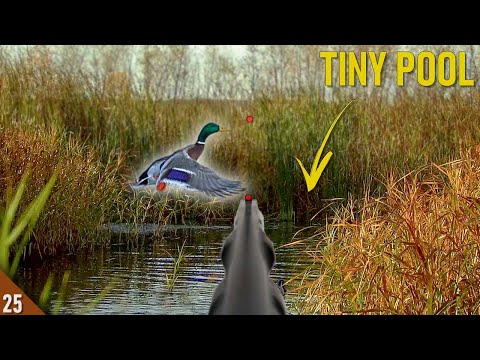 Decoying DUCKS Into A TINY Hole! (Limited Out) | Solo 28 Gauge Duck Hunt