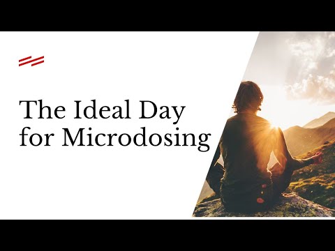 The Ideal Day To Get The Most out of Microdosing