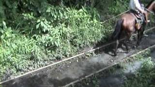 preview picture of video 'Colombie: à cheval sur la voie ferrée'