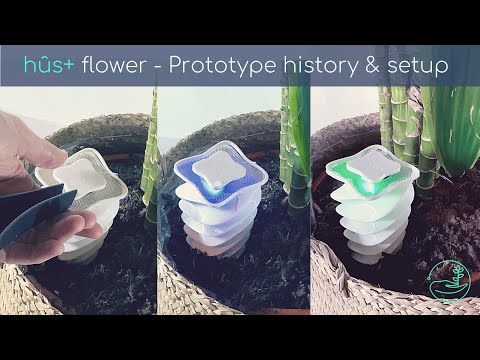 hûs+ flower - Prototype History & Setup