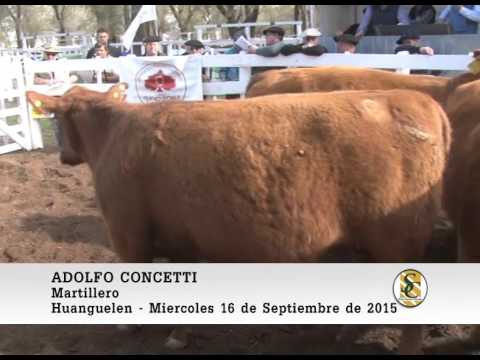 16-09-15 Nota Adolfo Concetti - Los Colorados de Huanguelen - Huanguelen