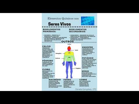 Elementos Químicos nos seres vivos
