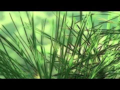 download lagu mp3 mp4 Music Rural, download lagu Music Rural gratis, unduh video klip Music Rural