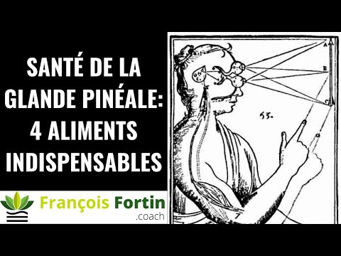 Glande pinéale: 4 aliments essentiels pour sa vitalité