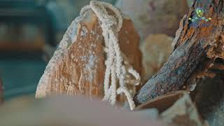 TAŞUCU AMPHORA MÜZESİ